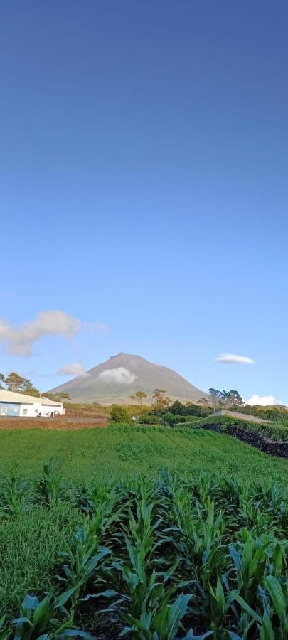 Villa Dream View In Pico Criacao Velha Exterior foto